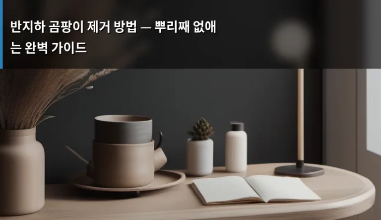 반지하 곰팡이 제거 방법 — 뿌리째 없애는 완벽 가이드