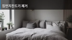 집먼지진드기 제거, 우리 집을 쾌적하게 만드는 생활 습관 A to Z