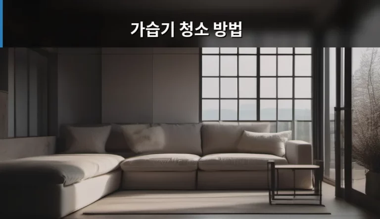 가습기 청소 방법 및 위생 관리 가이드