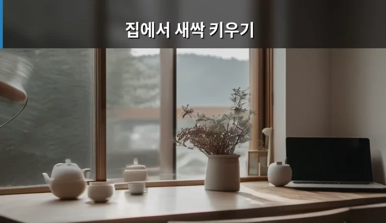 집에서 새싹 키우기 초보자를 위한 준비물과 관리 노하우