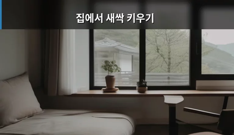 집에서 새싹 키우기 초보자를 위한 단계별 가이드