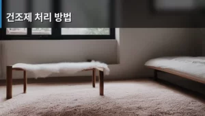 생활 속 빨래 고민 끝! 안전하고 올바른 건조제 처리 방법 완벽 가이드