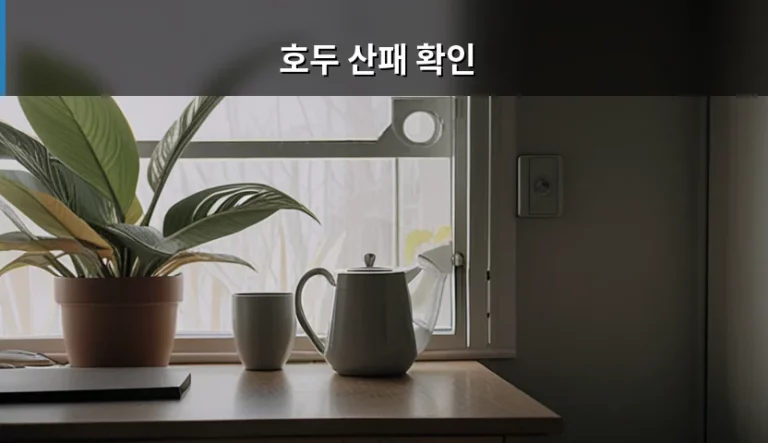 호두 산패 확인 방법과 신선한 보관법 가이드