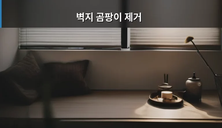 벽지 곰팡이 제거 완벽 가이드: 원인 파악부터 확실한 해결 방법까지