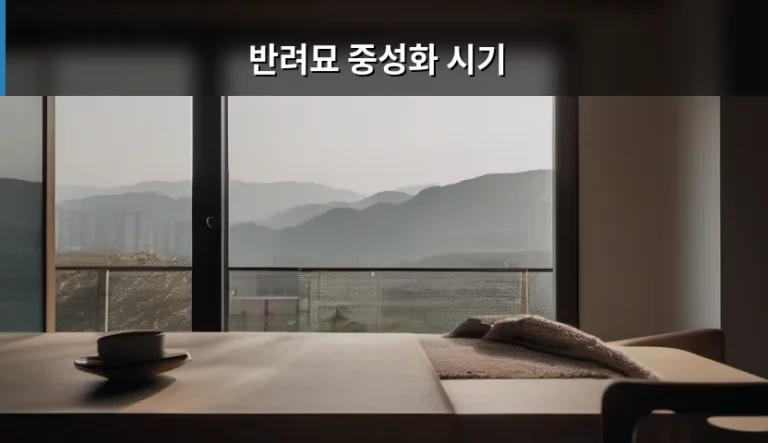 우리 고양이 건강을 위한 첫걸음, 반려묘 중성화 시기 고민 해결하기