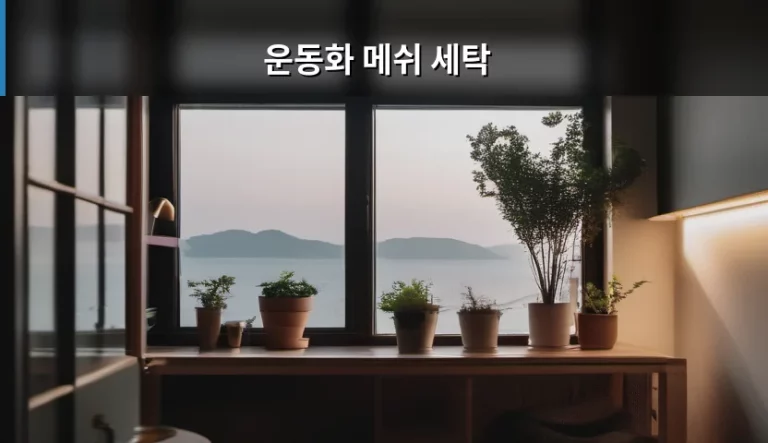 운동화 메쉬 세탁 방법과 주의사항 가이드