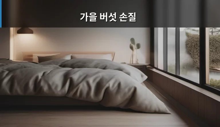 가을 버섯 손질 방법과 신선도 유지 비결