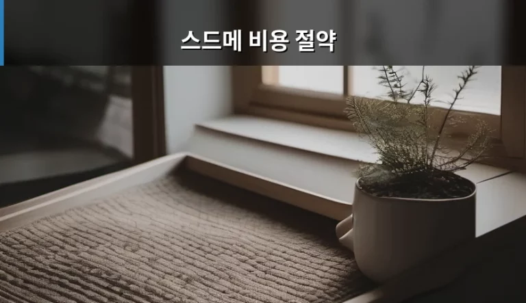 스드메 비용 절약 노하우와 예산 관리 가이드