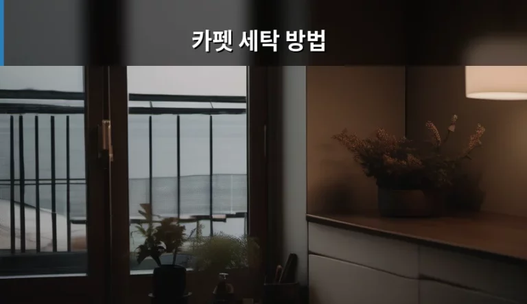 카펫 세탁 방법 및 오염 제거 관리 가이드