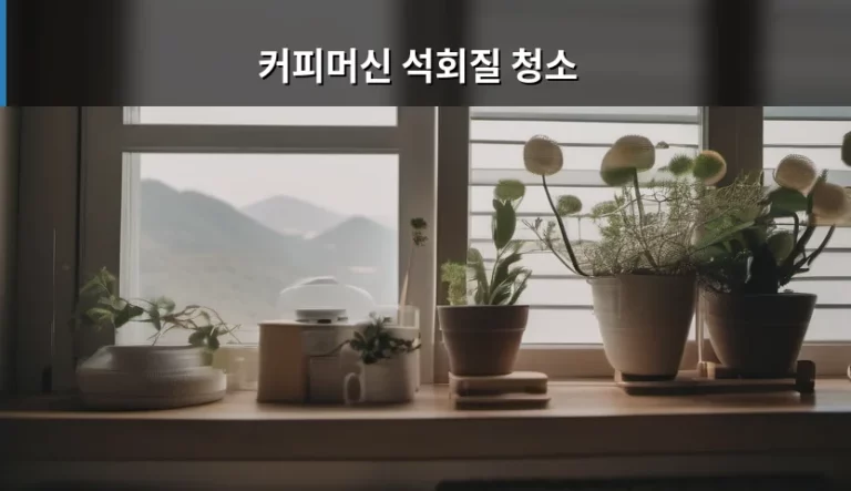 커피머신 석회질 청소 방법과 주기 관리법