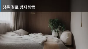 창문 결로 방지 방법, 올겨울 우리 집 습기 걱정 끝내는 꿀팁 대방출