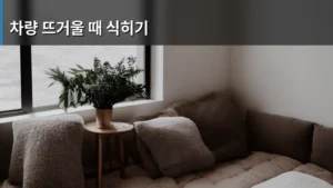 차량 뜨거울 때 식히기, 안전하고 현명한 방법 총정리