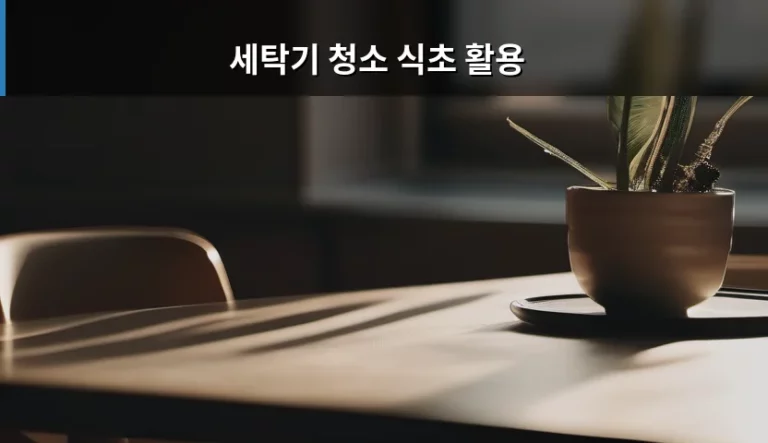 세탁기 청소 식초 활용 방법 및 주의사항 정리