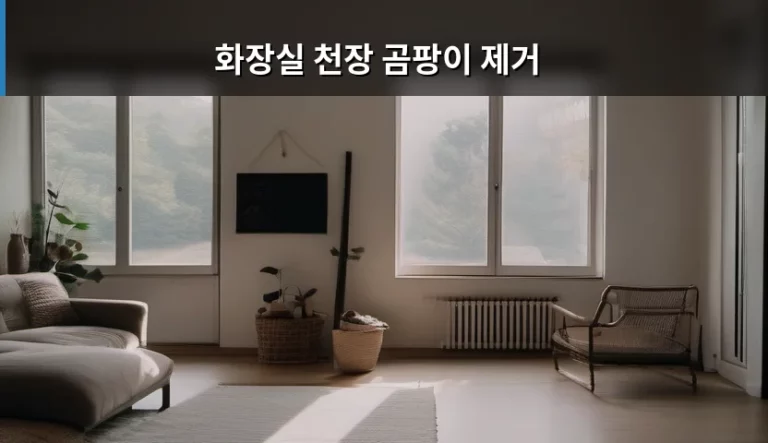 화장실 천장 곰팡이 제거 방법과 관리 노하우