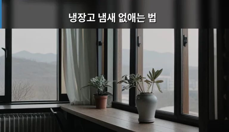 냉장고 냄새 없애는 법과 식재료 관리 노하우