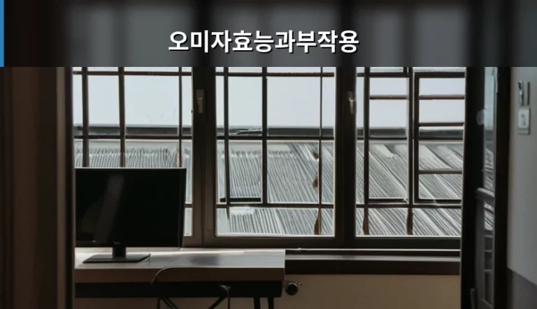 오미자효능과부작용 및 올바른 섭취 방법 가이드