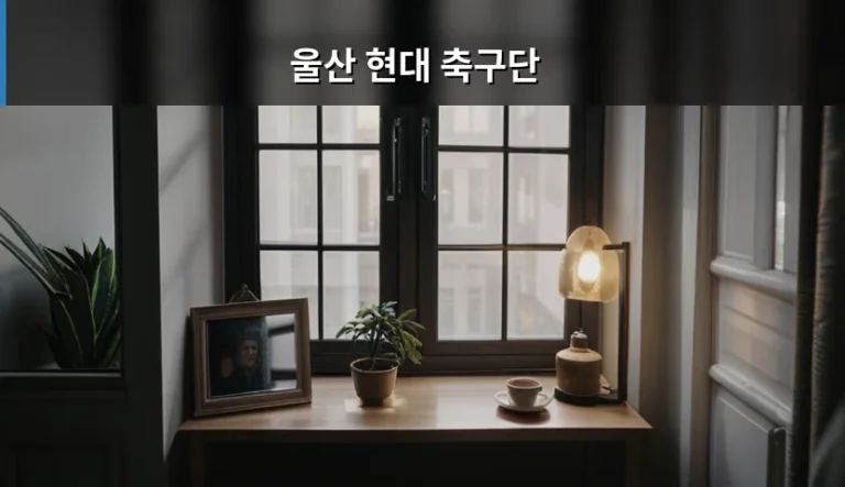 울산 현대 축구단 경기 관람 가이드와 구단 정보 정리