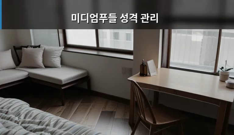 미디엄푸들 성격 관리 방법과 사회화 훈련 가이드