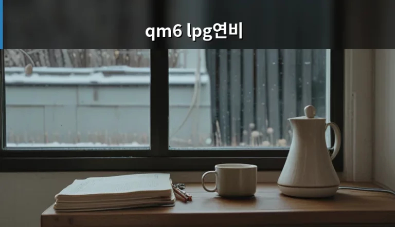 qm6 lpg연비 실제 체감 수치와 경제성 분석 가이드