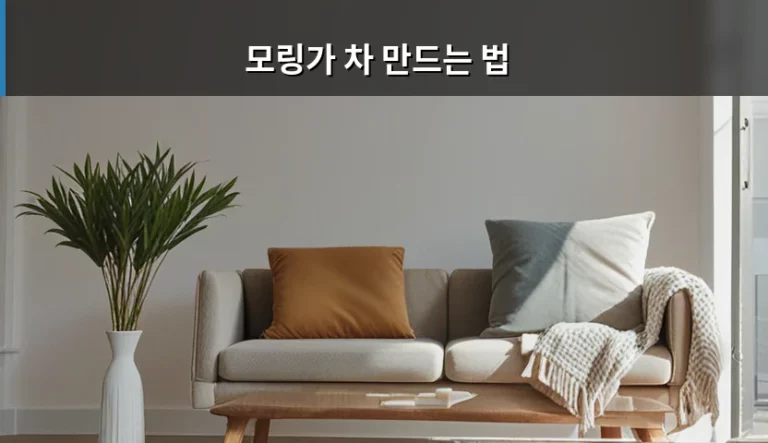 모링가 차 만드는 법과 주의사항 및 섭취 가이드